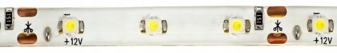 TAŚMA LED 2835 BIAŁA CIEPŁA IP65 300 SMD 5M 12V