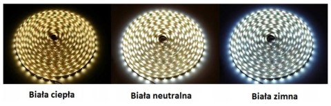 TAŚMA LED 2835 BIAŁA CIEPŁA IP65 300 SMD 5M 12V