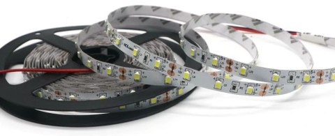 TAŚMA LED 2835 BIAŁA ZIMNA IP20 300 SMD 5M 12V