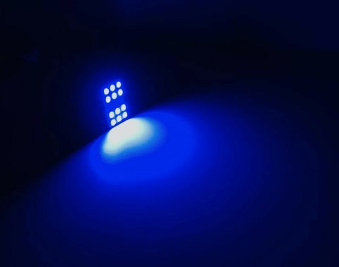 MODUŁY LED RGB ŻARÓWKI KOLOROWE W5W C5W + PILOT